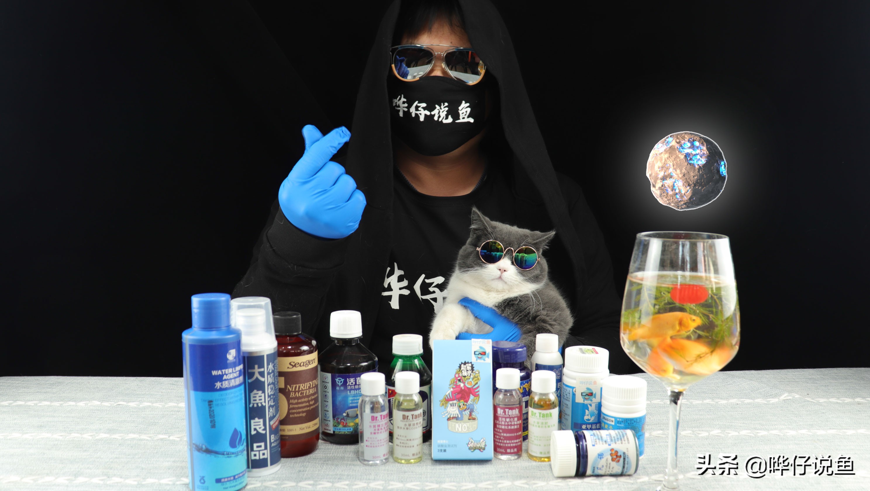 养鱼也疯狂,养鱼em菌干嘛用的