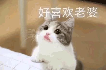 全国最怕老婆的城市排行榜,全国男性怕老婆排名