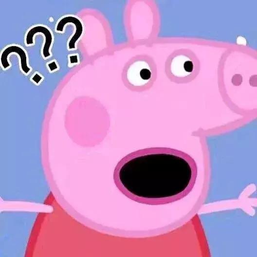 怎么知道你是什么垃圾,你是什么垃圾下一句