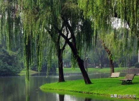 再写感悟青*绿苔**