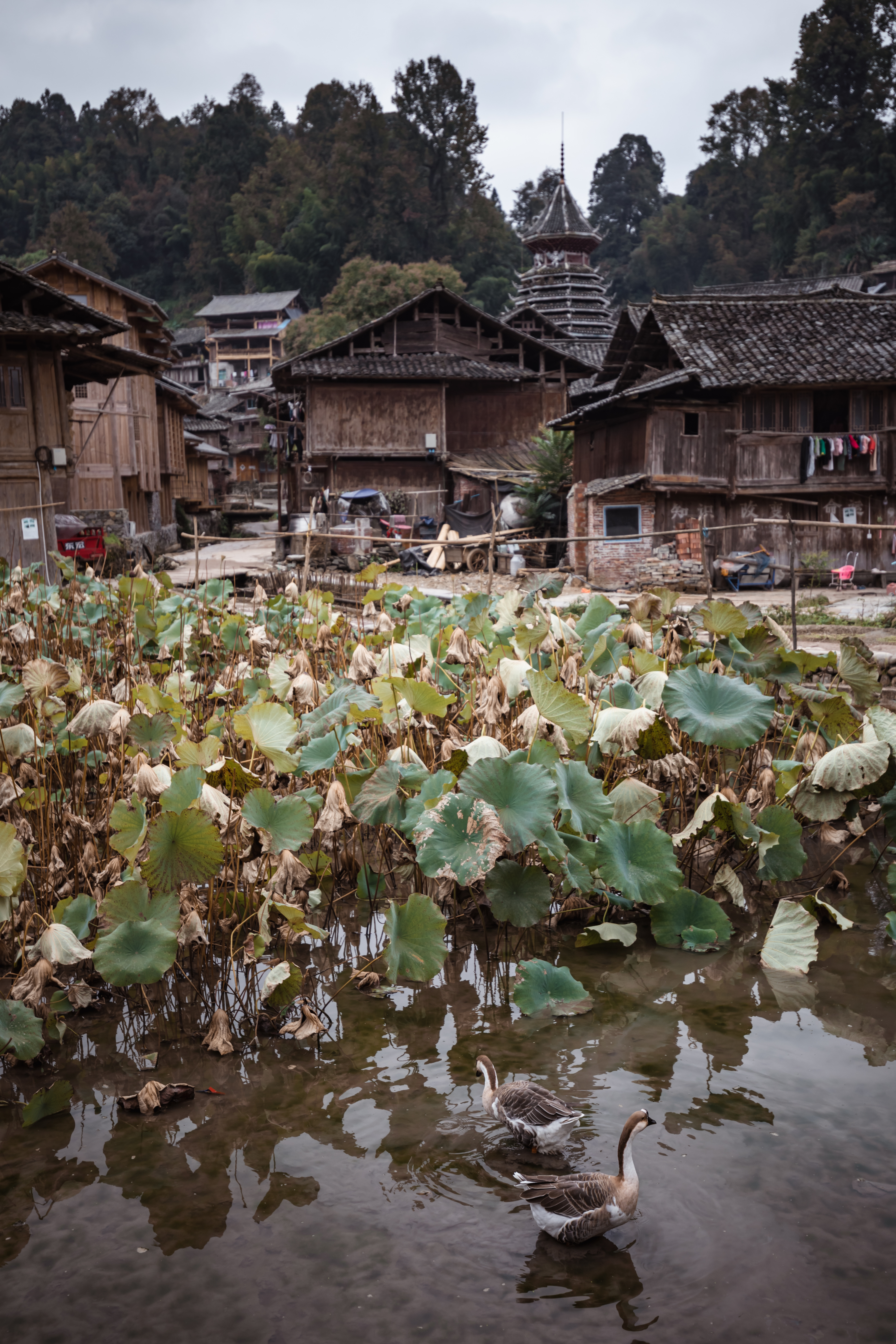 贵州人少景美的小村寨,贵州特色寨子