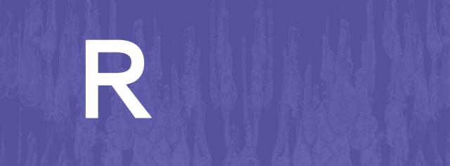 大牌面料柔软舒适气质穿搭,气质穿搭面料柔软舒适