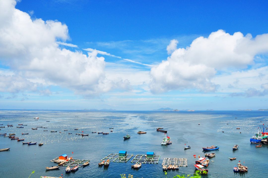 适合看星空露营的地方 (高山露营地绝美的星空)