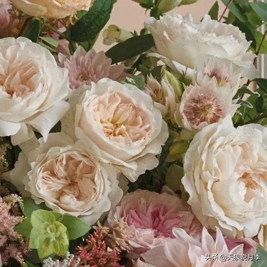 520你最想收到什么玫瑰,520这样的玫瑰你们喜欢吗