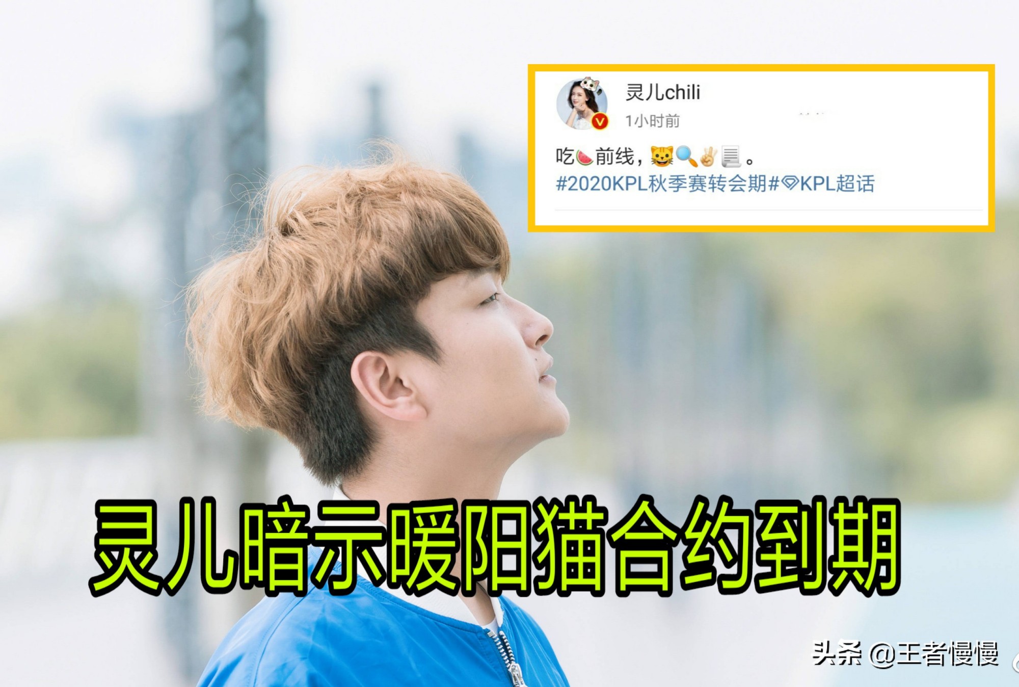 猫神estar回归首战赢了吗,estar猫神为什么走了