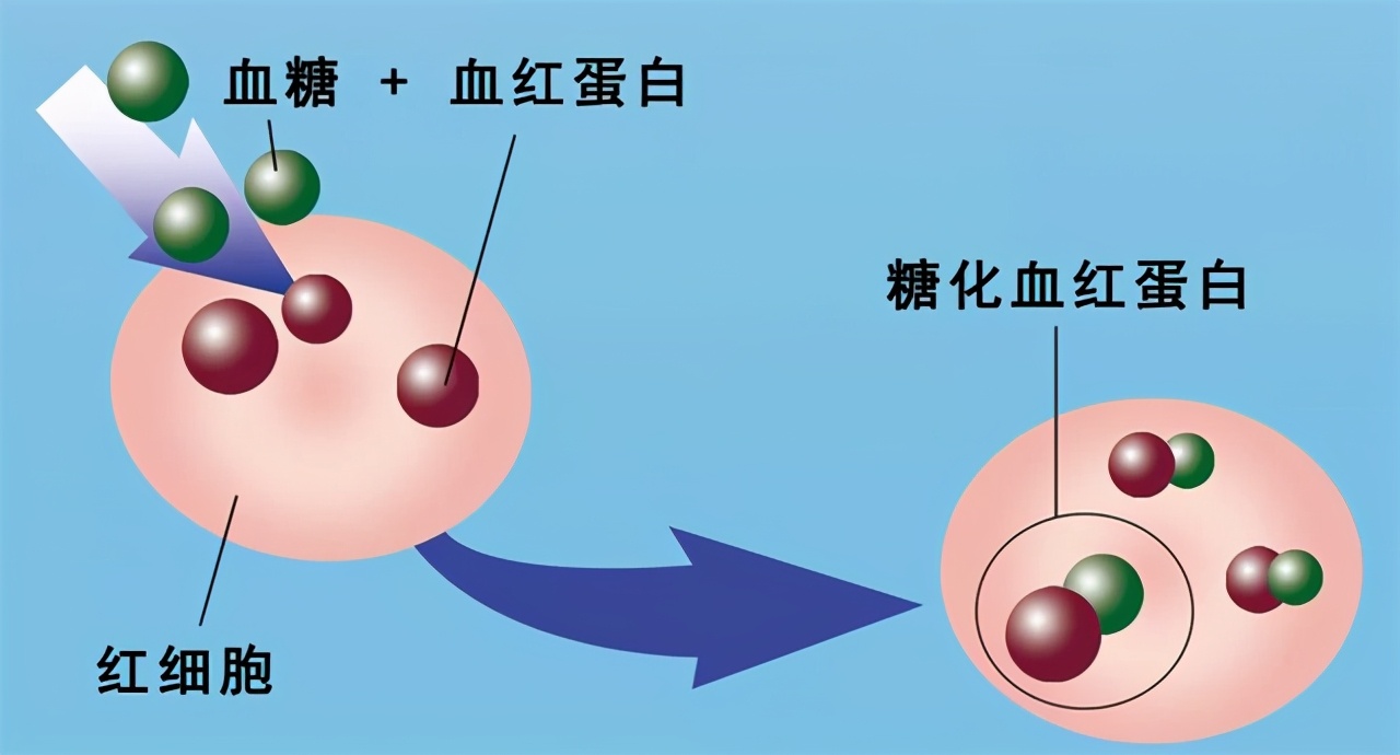 降糖药超长效,降糖药降体重