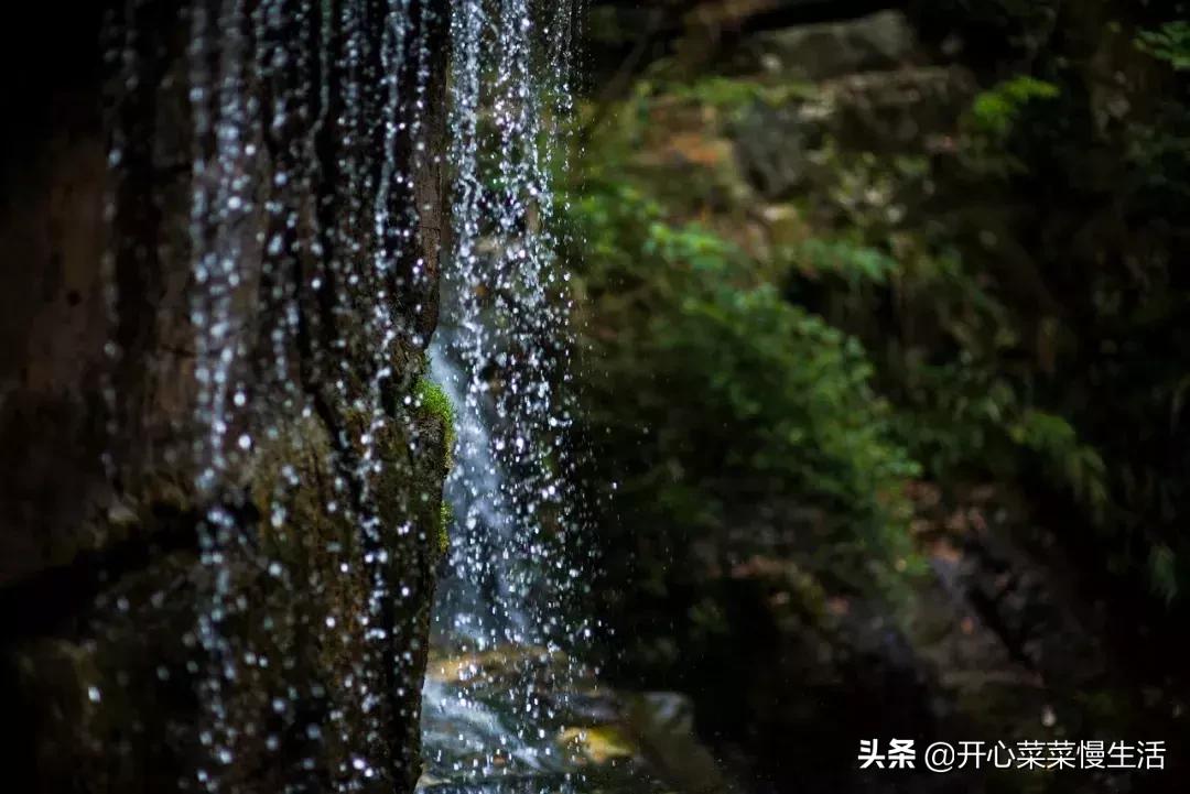 河源万绿湖江舍精品民宿,河源民宿旅游攻略