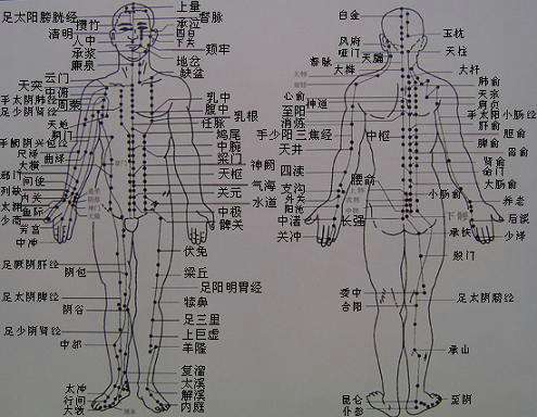 颈部穴位身体穴位图解,什么是穴位