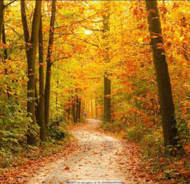 空，生妙有，“东方智慧之光”