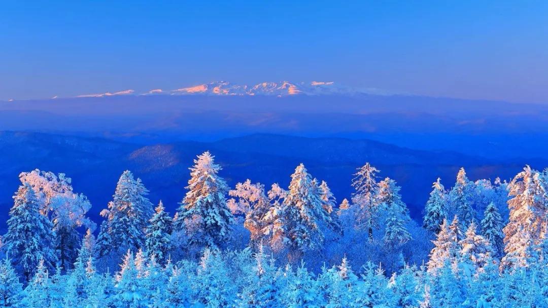 白山绝美打卡地,长白岛森林公园网红打卡地