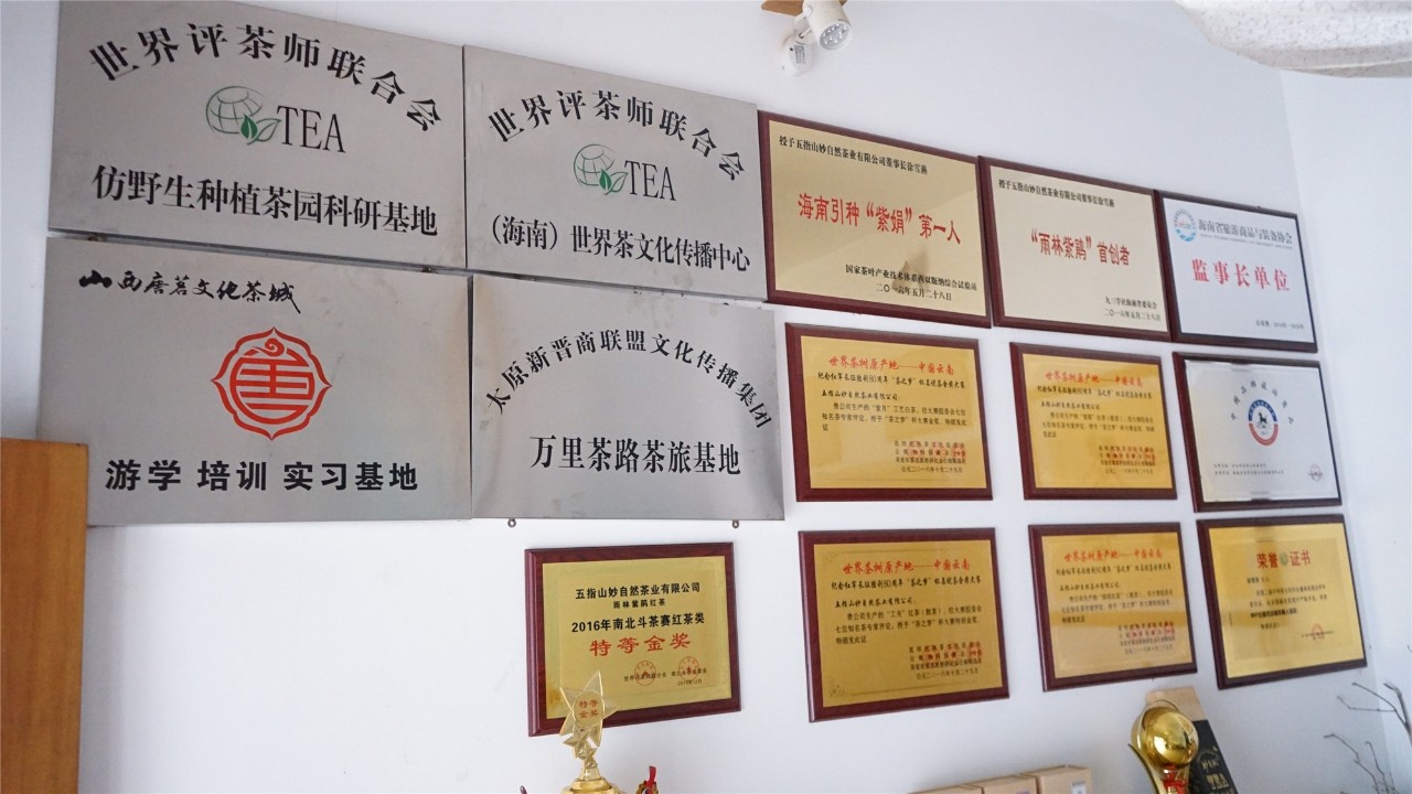 调研联盟,联合调研乡村振兴