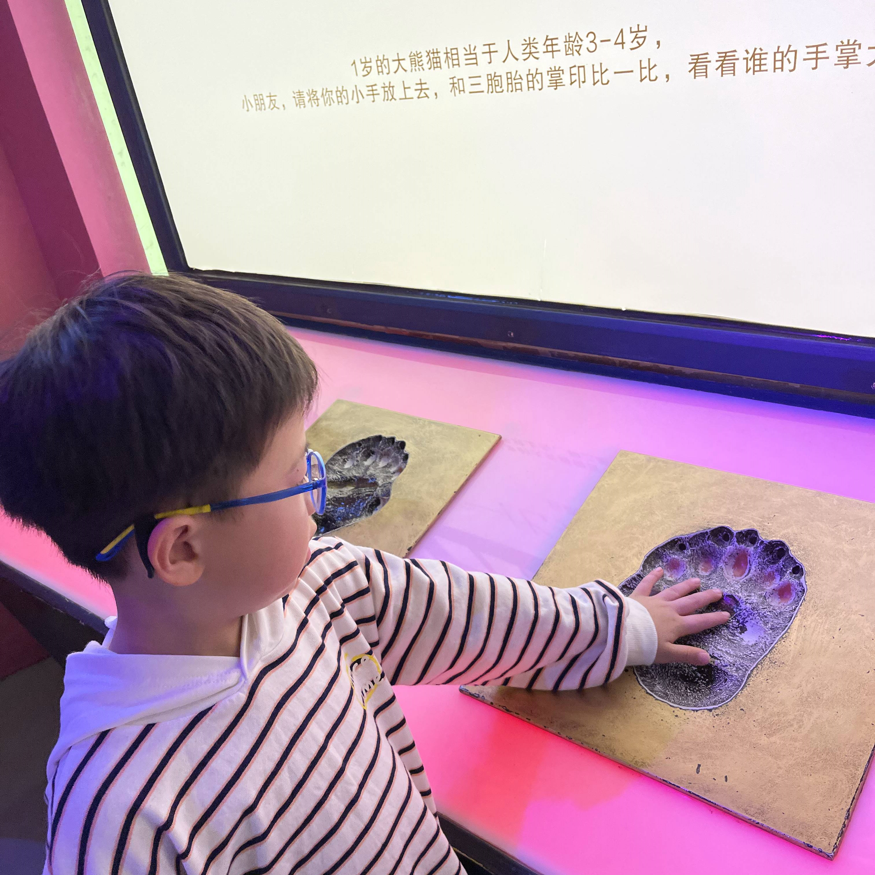 广州长隆野生动物园游玩攻略最新,长隆野生动物园亲子游三天