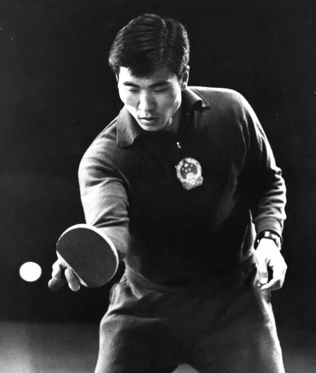 河北体育明星大全,河北都有什么明星