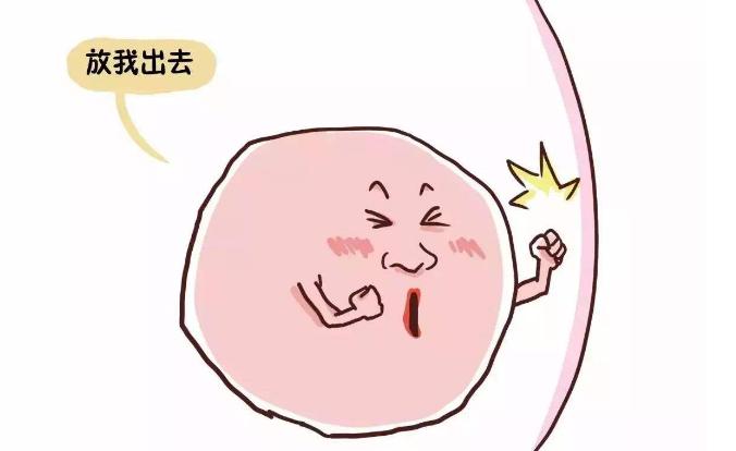 卵子成熟后多久排出备孕知识,卵子一般都在体内存活几天