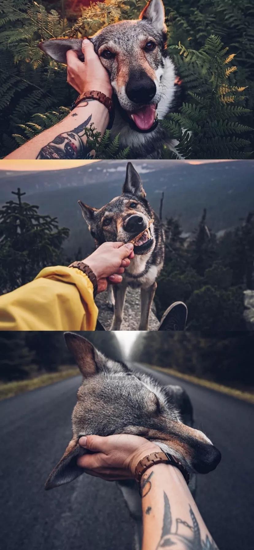 壁纸iphone壁纸,壁纸超清4k手机壁纸iphone全面屏