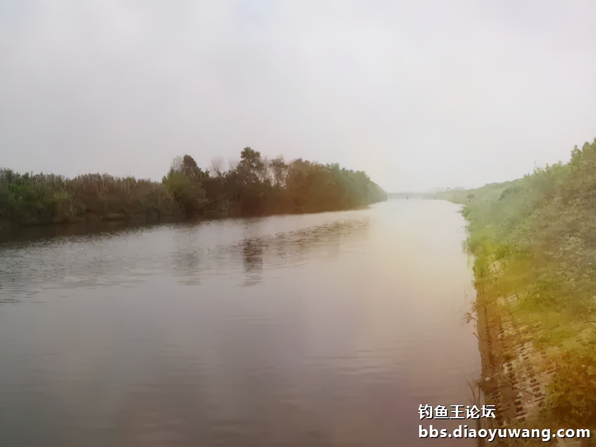 疯钓鲫搭配,疯钓鲫本味单开效果怎么样