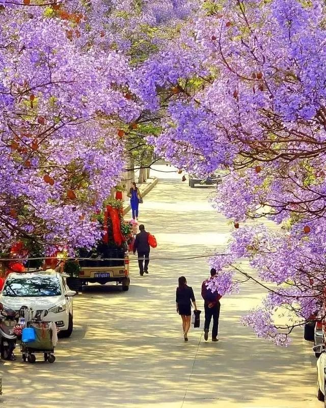 四川藏着一个静谧古城,四川被忽略的古城