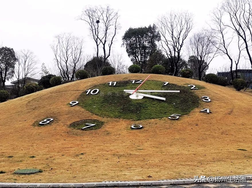 扬州花卉市场大全,扬州西区花卉市场