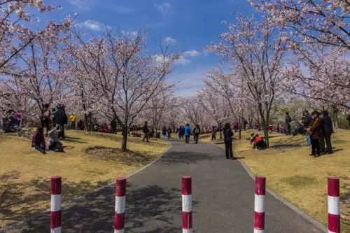 上海16区介绍有闸北吗,上海16个区高清地图