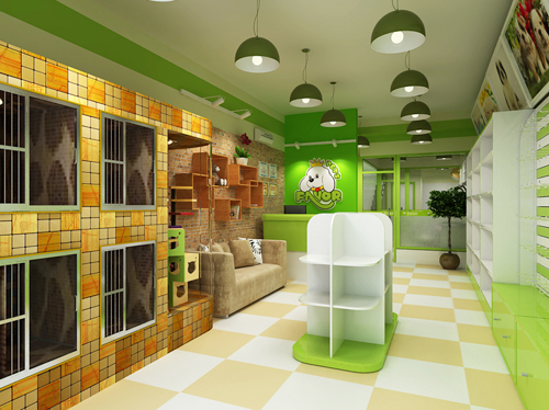 一站式宠物店装修案例欣赏,宠物店最新装修图片大全