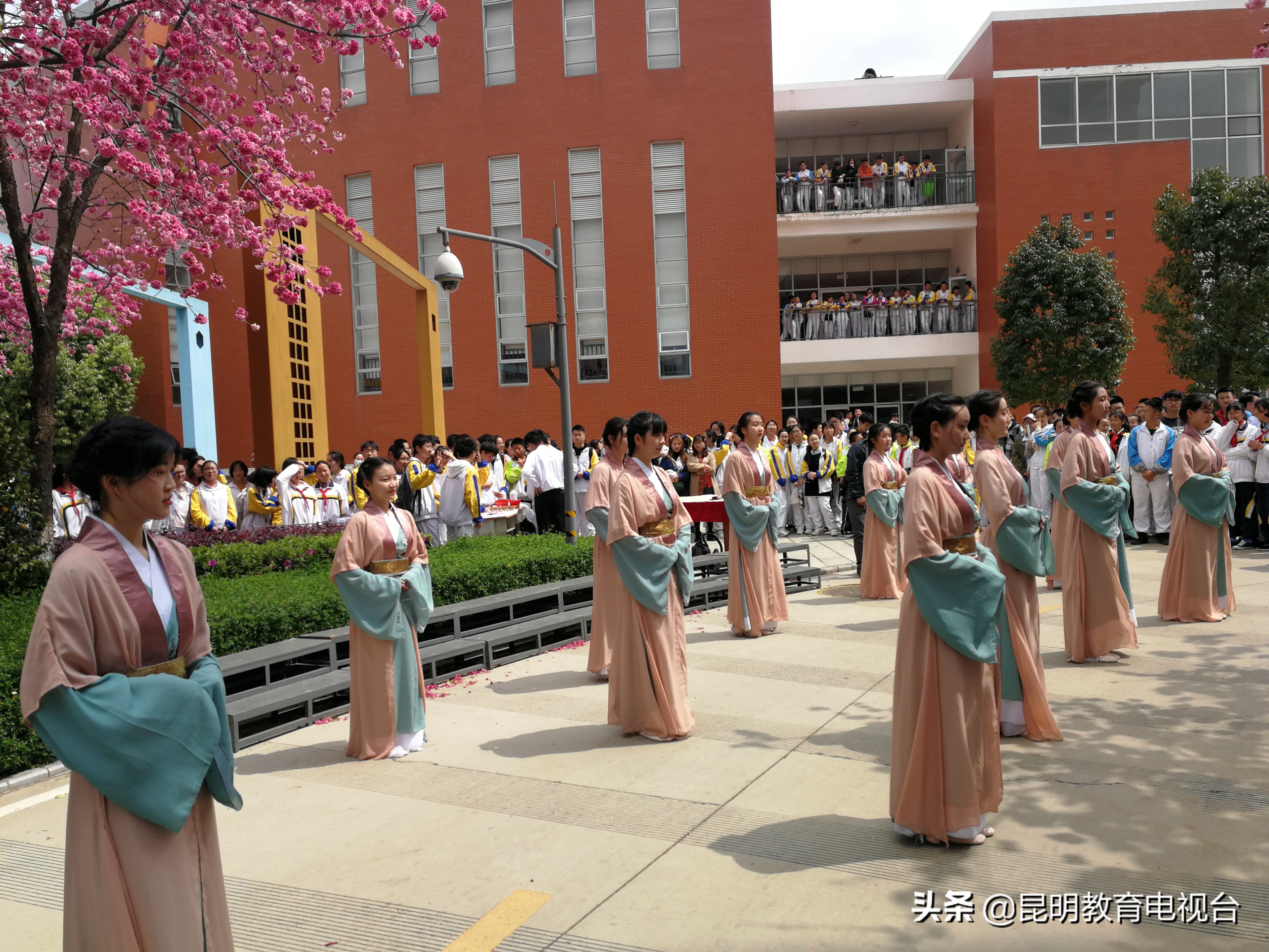 三中“拾”光“樱”为有你——一个师生与樱花的约定