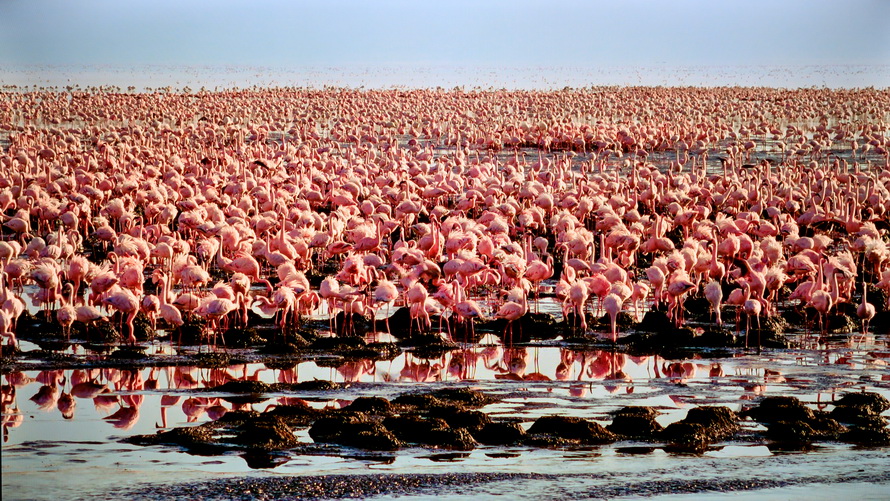 创维电视65g22pro好还是g32pro好,创维电视g22有什么功能