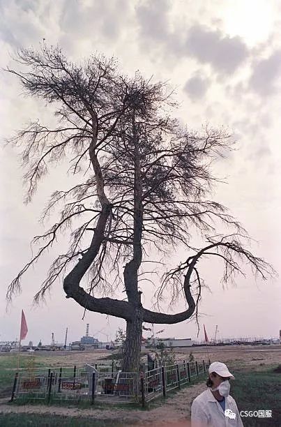 死城地图演变过程,死城之谜