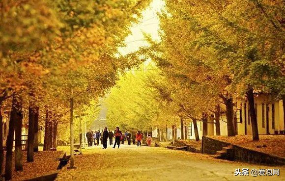 广东粤北最美公路,粤北最美的国道是哪条线