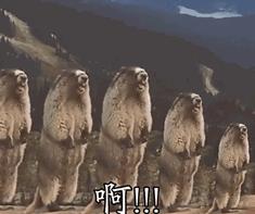 男性肩宽好看还是肩窄好看,男人肩宽好看还是肩窄好看