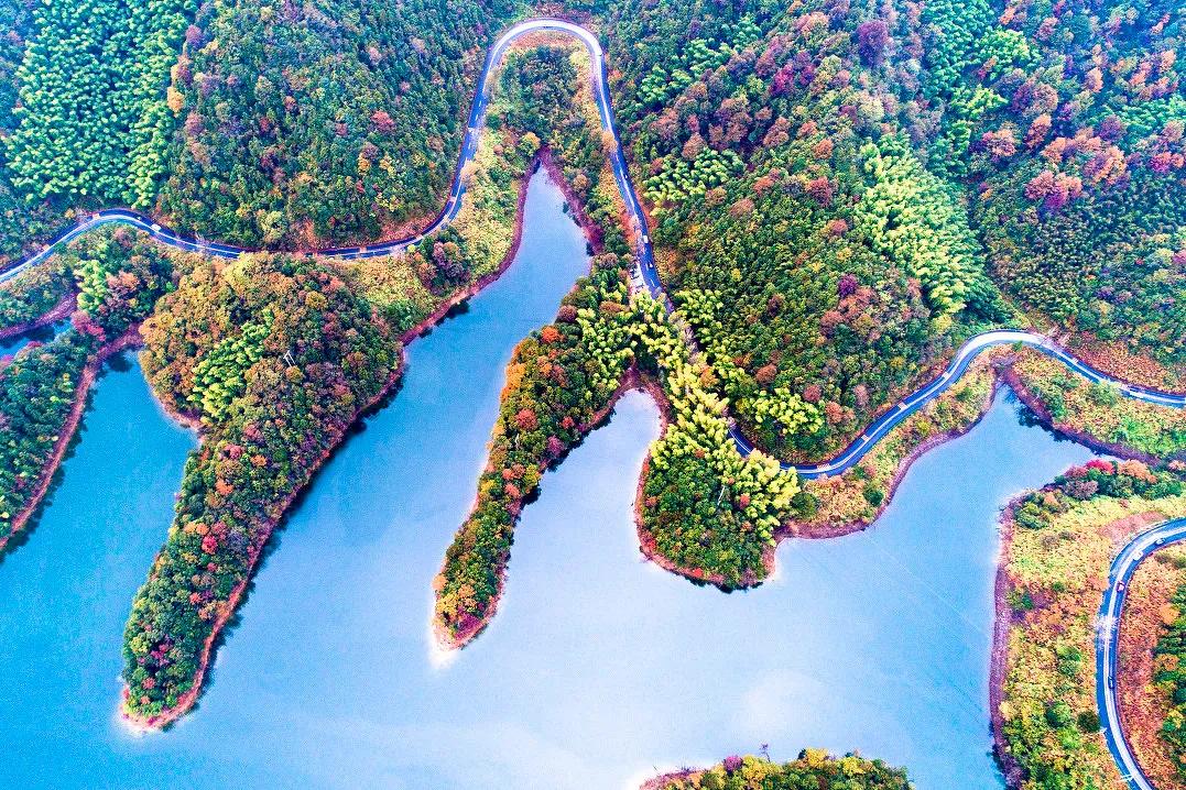 秋天的杭州自驾游,杭州秋冬自驾