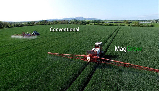 机器人占领全世界,机器人占领整座城市