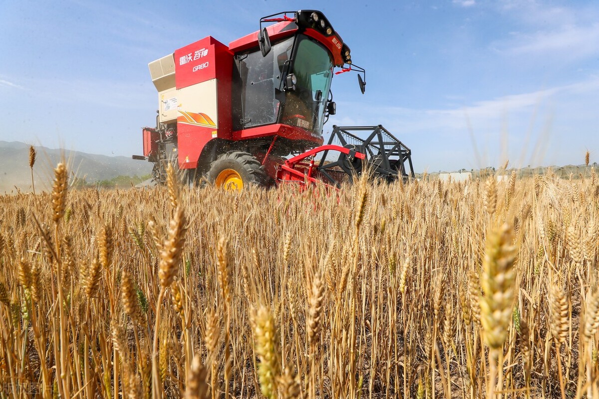 农机证收割机证能在网上办理吗,农机手未持证作业被罚