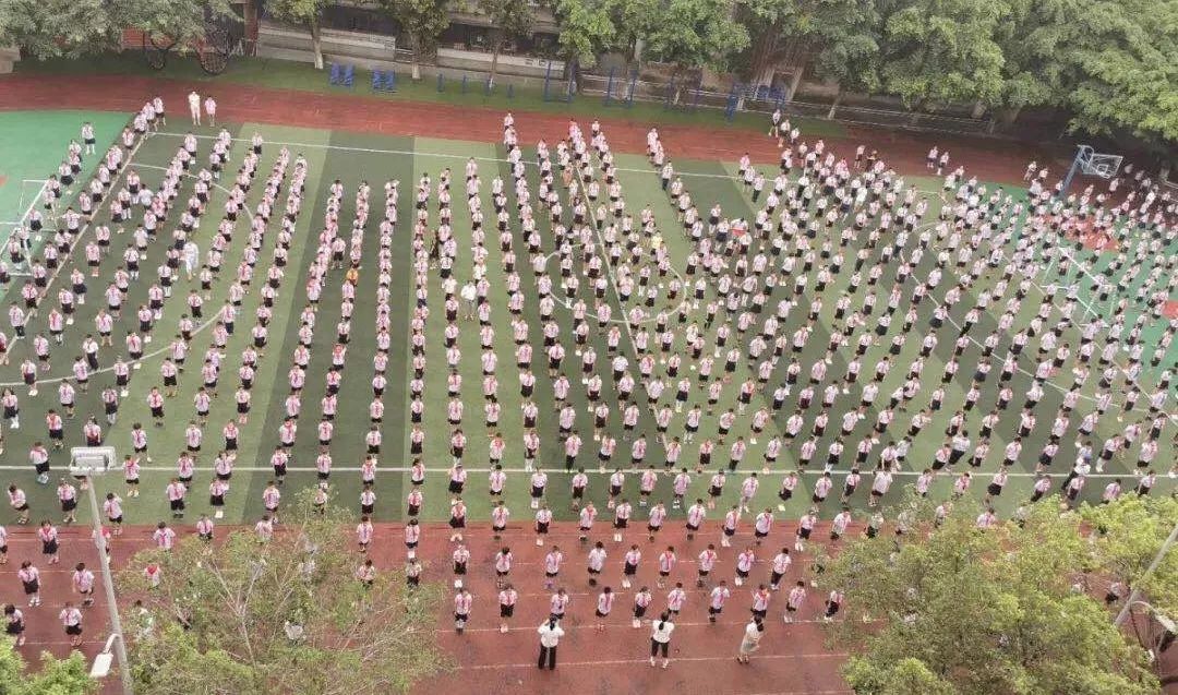 幼升小择校指南,幼升小择校怎样选