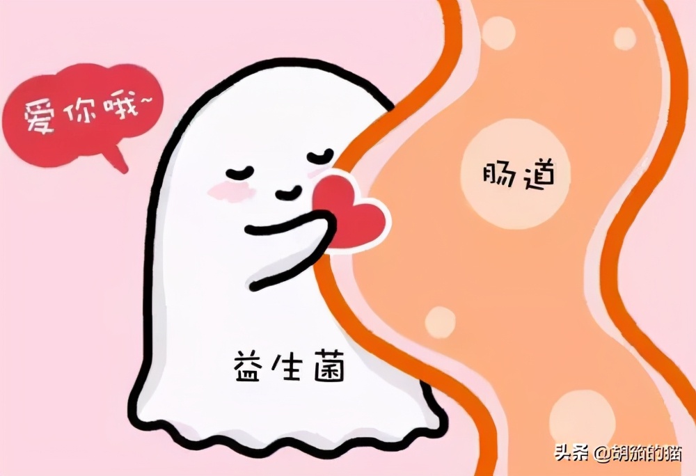 狗狗不拉大便只尿尿怎么回事,狗狗不拉粑粑但是排尿