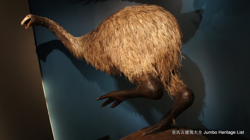 第61回：惠灵顿维多利亚山，蒂帕帕国家博物馆（上）