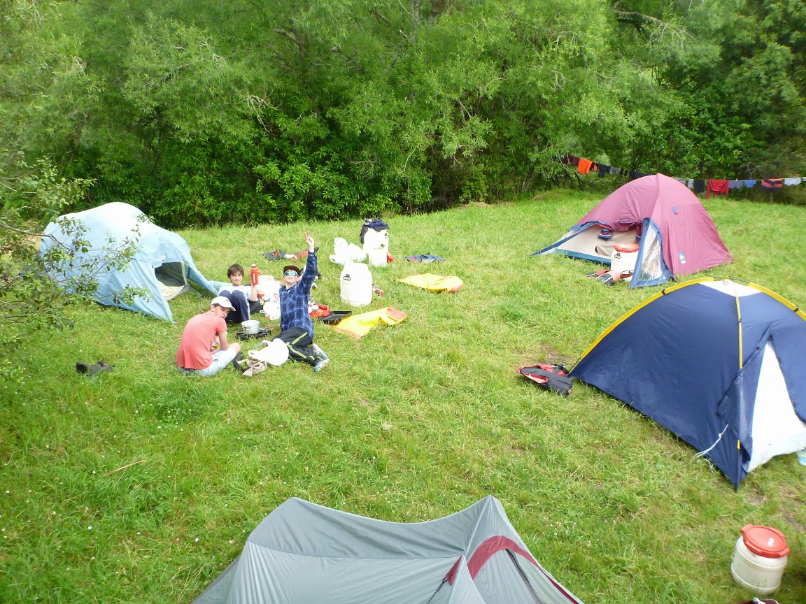 新西兰留学生移民最新政策,美国政府召回海外美国公民回国