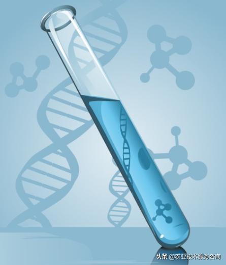 花卉营养液怎么配制视频,自制花卉营养液的配制方法