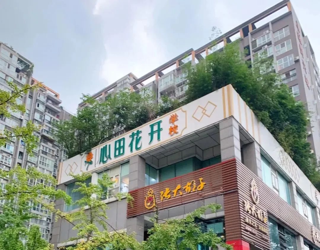 成都六家培训机构被查退费,暗访培训机构价格