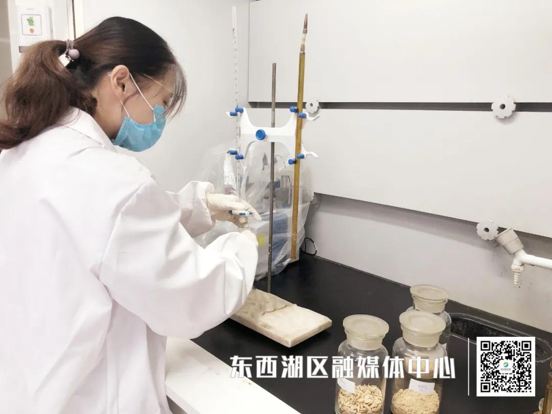 瓜子一嗑就开,瓜子一嗑到底