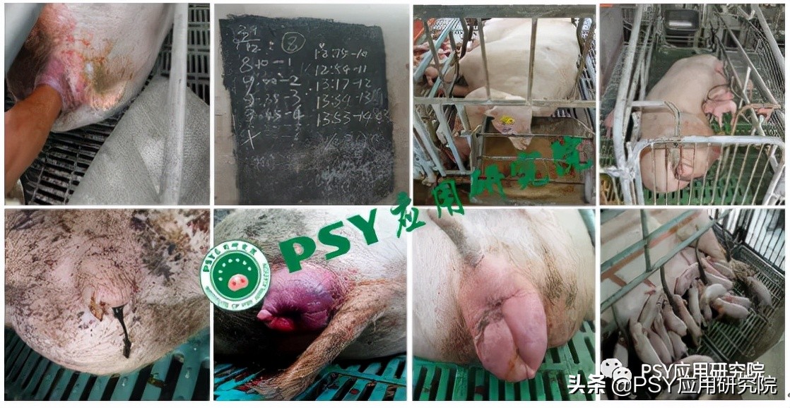 子宫炎有特效药吗,子宫炎治疗贵吗