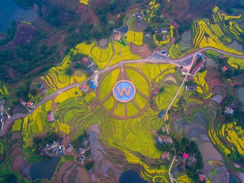 密集夺冠！五粮浓香系列酒闪耀多个国家级白酒评选活动