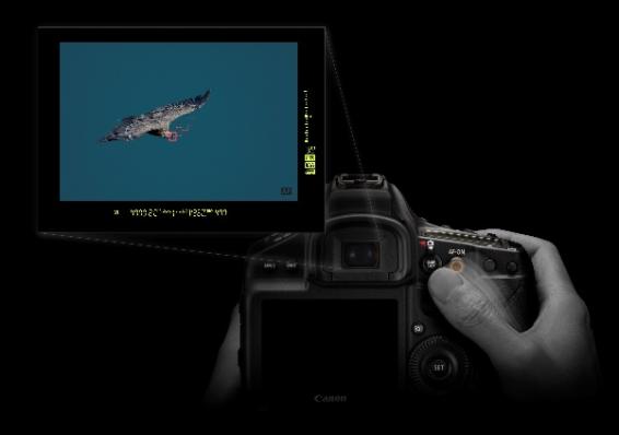 佳能eos-1dxmarkiii顶级旗舰,佳能eos1dsmark3发布时间