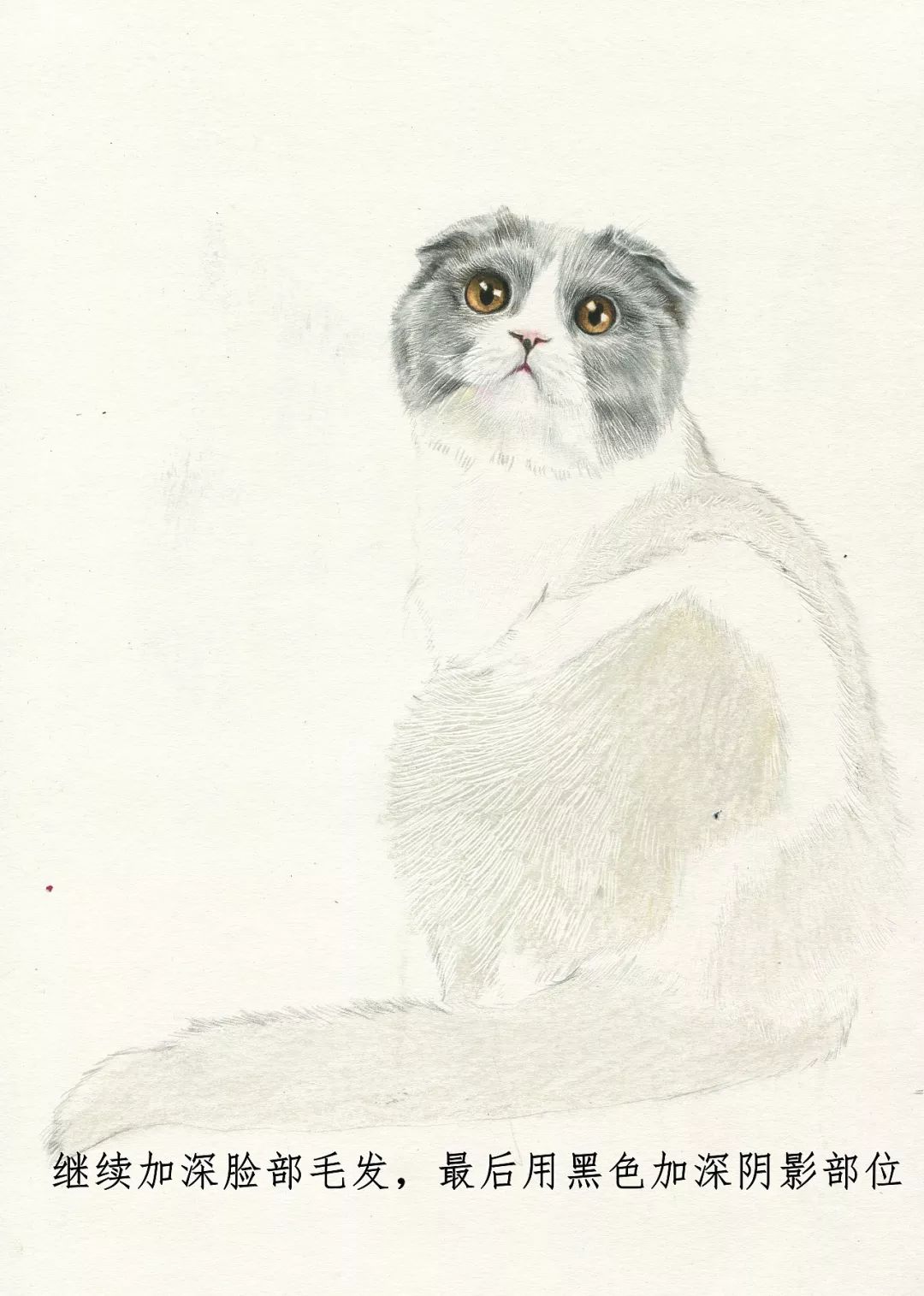 素描动物最全的收集,精微素描动物临摹高清大图