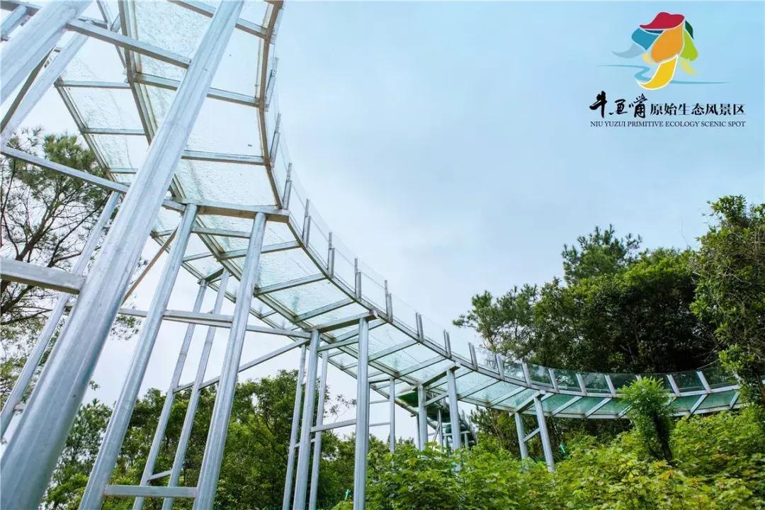 去清远漂流视频,去清远漂流哪个比较好玩