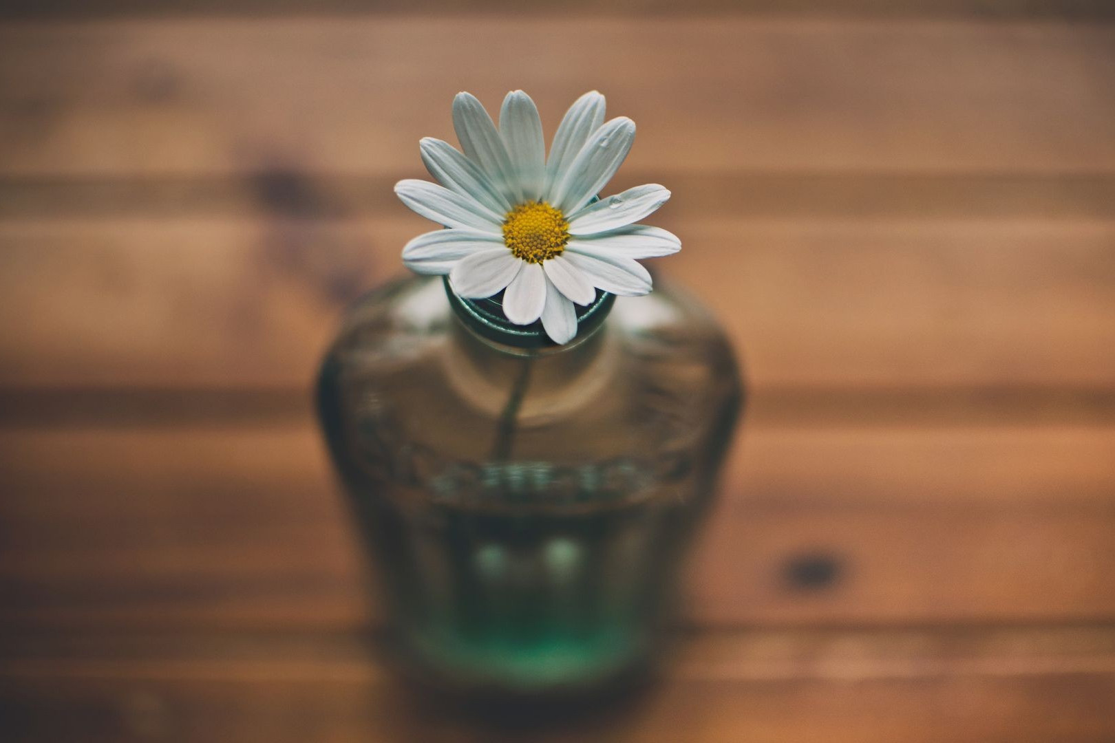 1994年10月24日天蝎座性格特点是,天蝎座2005年11月22日的性格