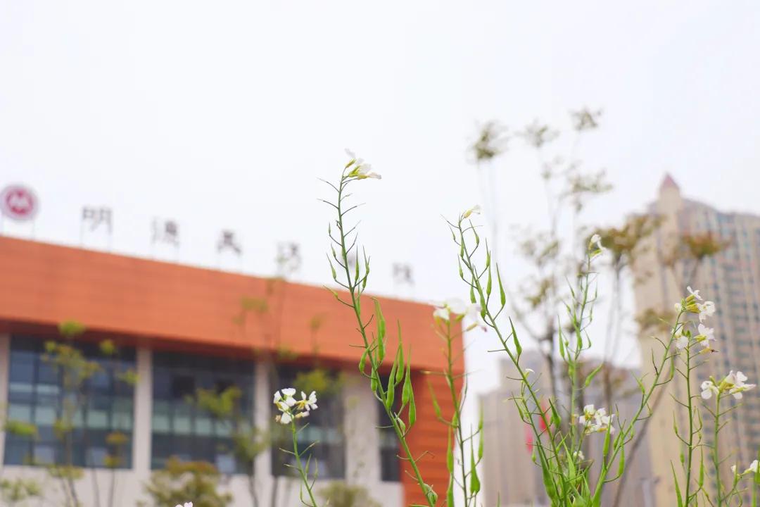 望城区的美景,望城的美景有哪些