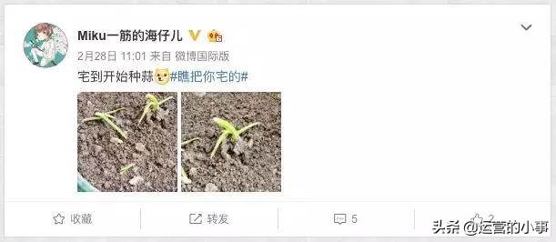 宅文化品牌,宅文化怎么发展