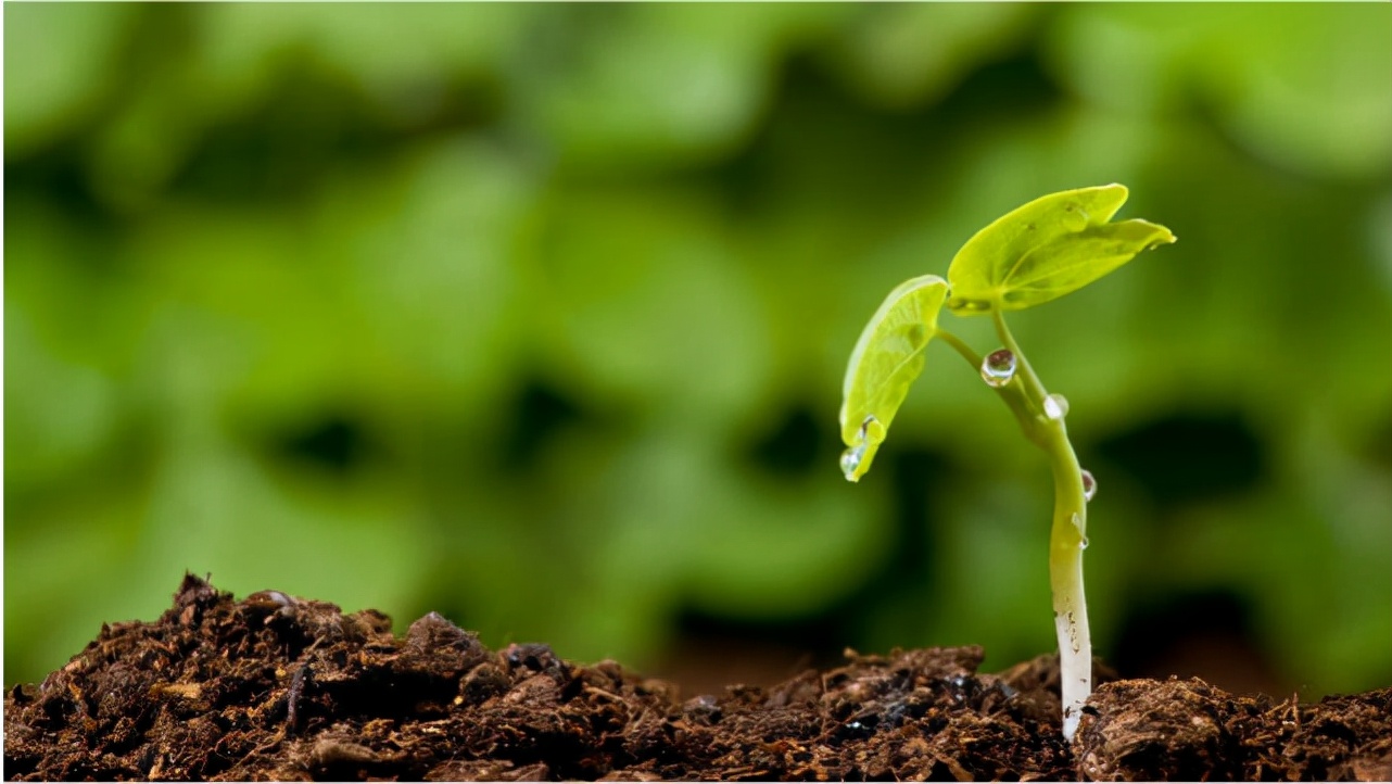 1024致敬程序员,1024程序员节想对程序员说的话