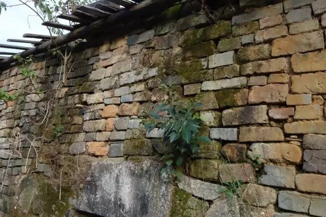 红色乡村简介,红色乡村文旅景区