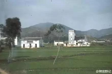 罗湖较新的区域,罗湖还能崛起吗